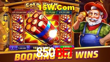 850Bet - User Statistics